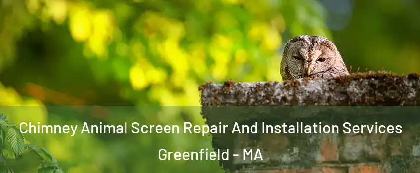 Chimney Animal Screen Repair And Installation Services Greenfield - MA