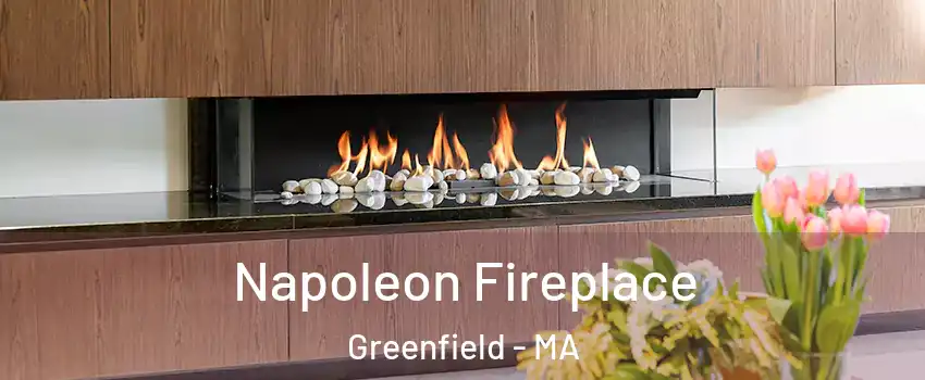  Napoleon Fireplace Greenfield - MA